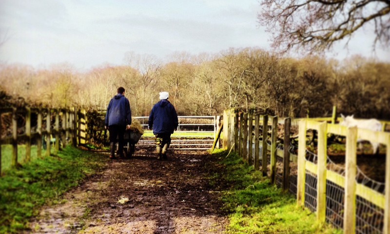 Education, Farm Visits, Market Harborough Leicestershire