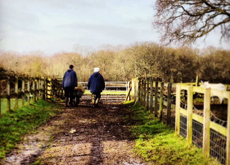 Education, Farm Visits, Market Harborough Leicestershire